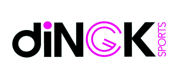 diNGK Logo diNGK Logo